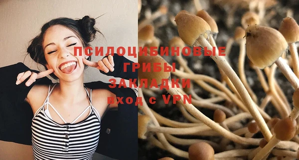 не бодяженный Няндома