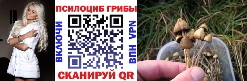 Галлюциногенные грибы MAGIC MUSHROOMS  Купить закладки  Безенчук 